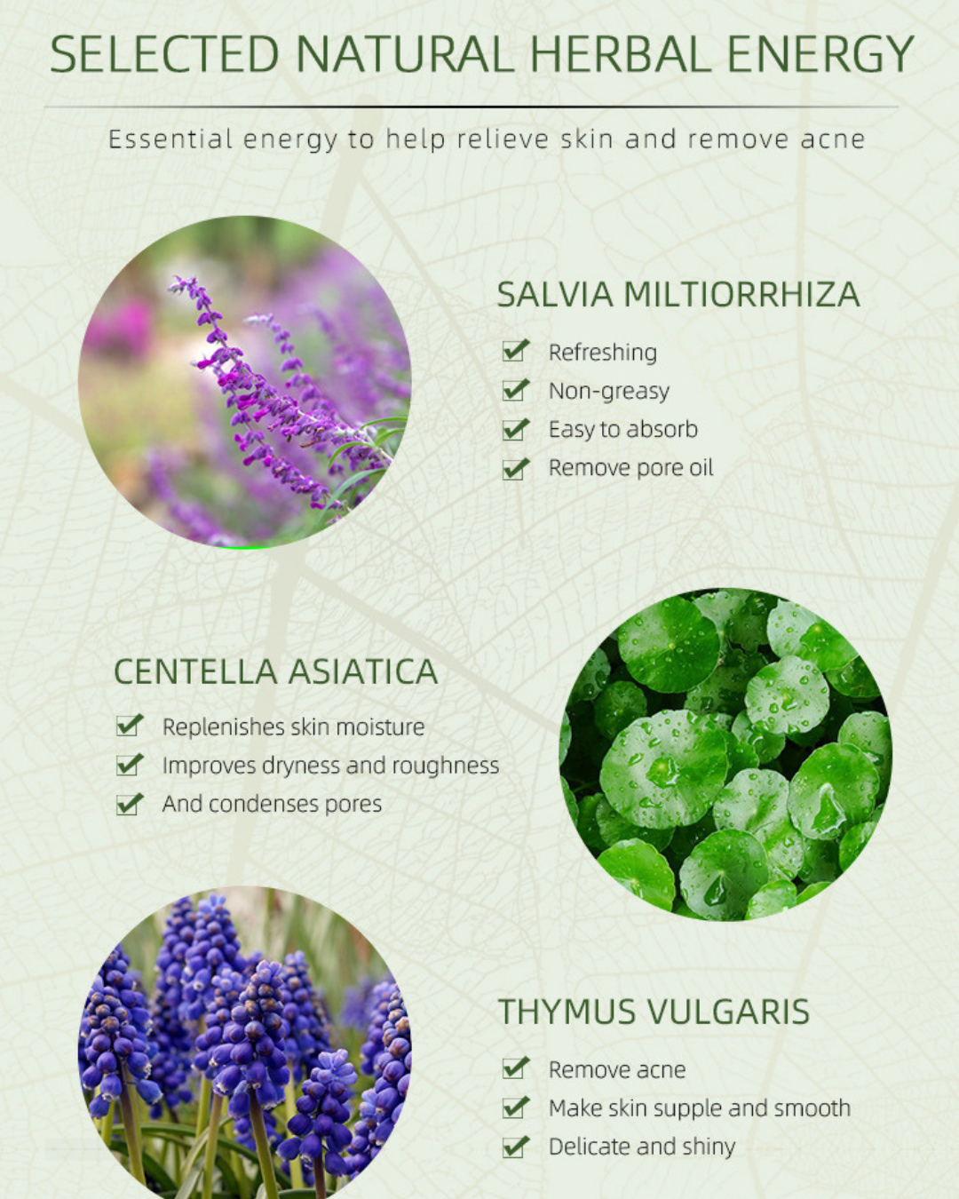 Herbal Anti-Acne Brightening Care Cream